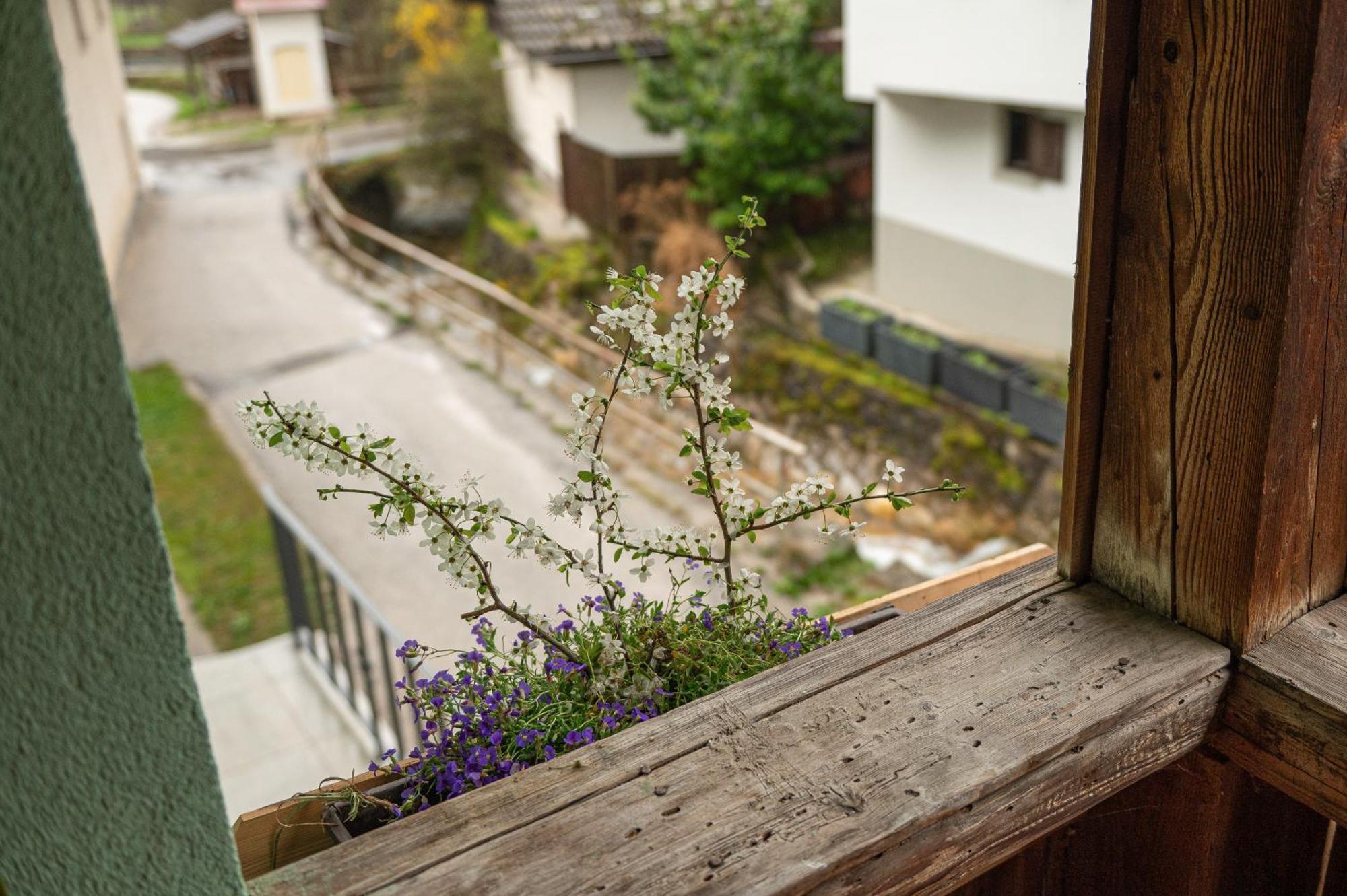 Zelena Hisa Pri Bjov Διαμέρισμα Bohinjska Bela Εξωτερικό φωτογραφία