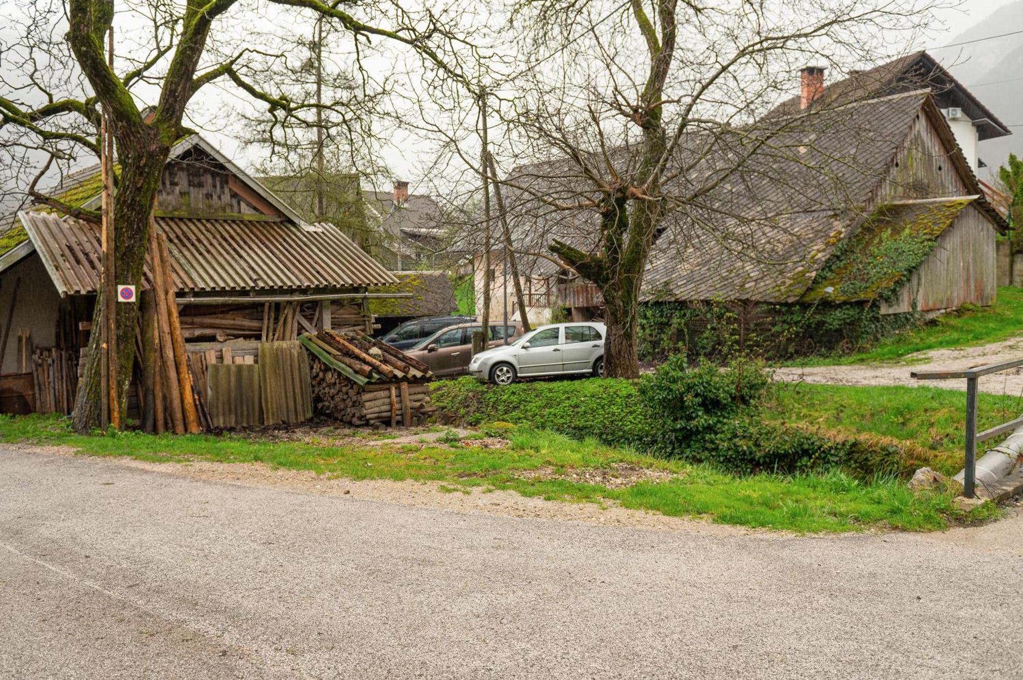 Zelena Hisa Pri Bjov Διαμέρισμα Bohinjska Bela Εξωτερικό φωτογραφία