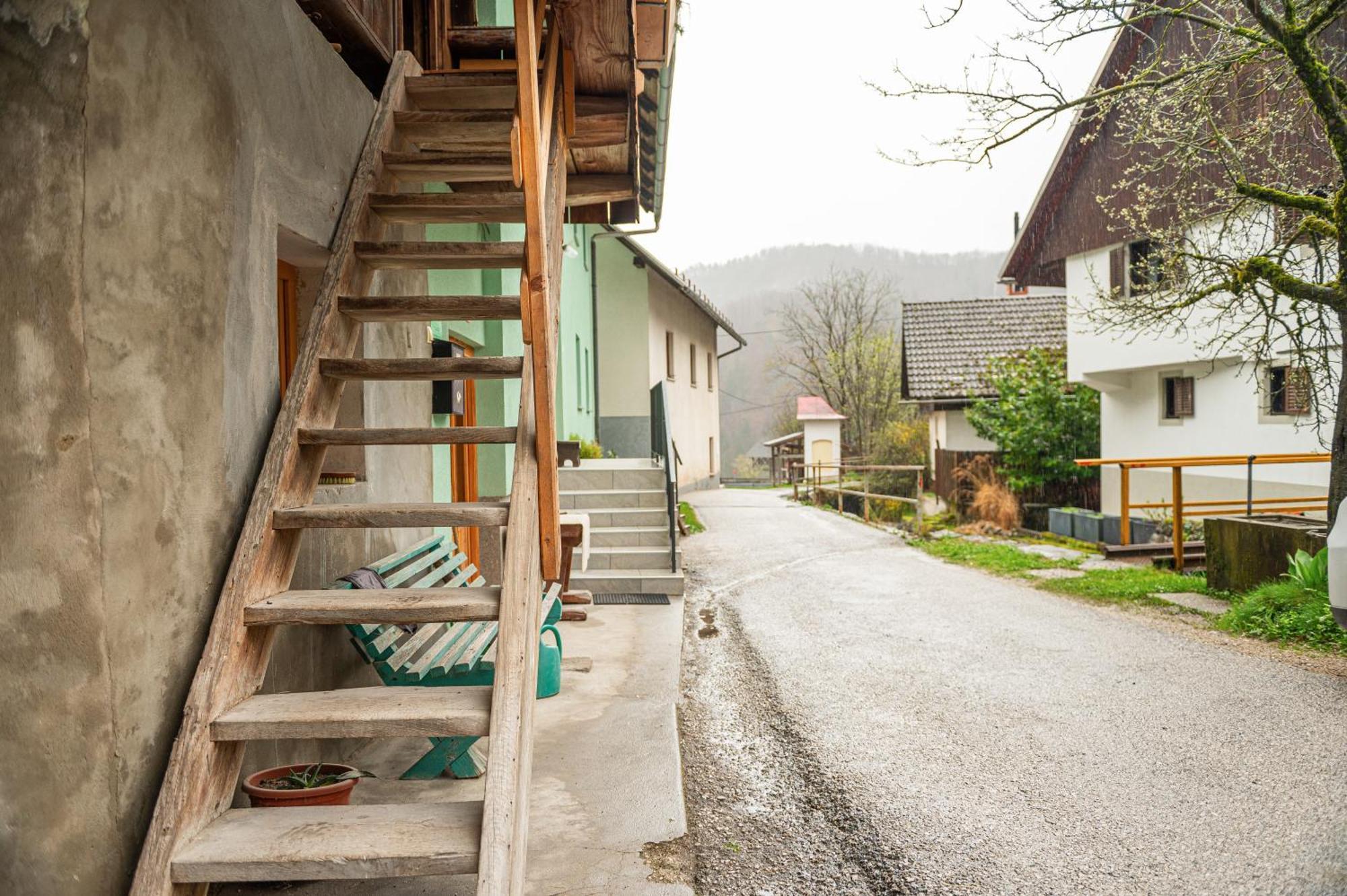 Zelena Hisa Pri Bjov Διαμέρισμα Bohinjska Bela Εξωτερικό φωτογραφία