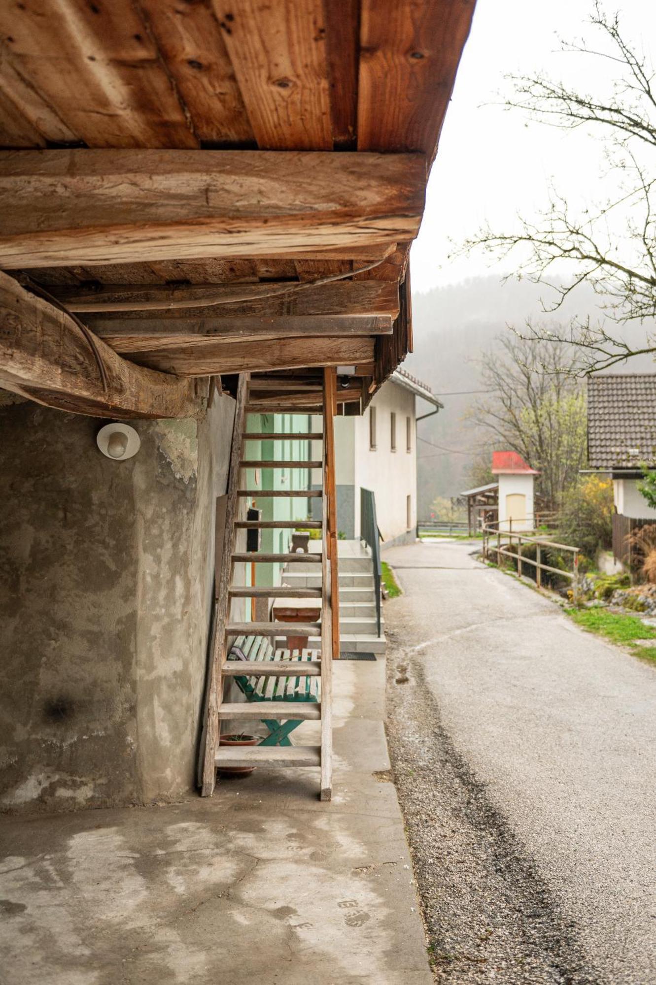 Zelena Hisa Pri Bjov Διαμέρισμα Bohinjska Bela Εξωτερικό φωτογραφία