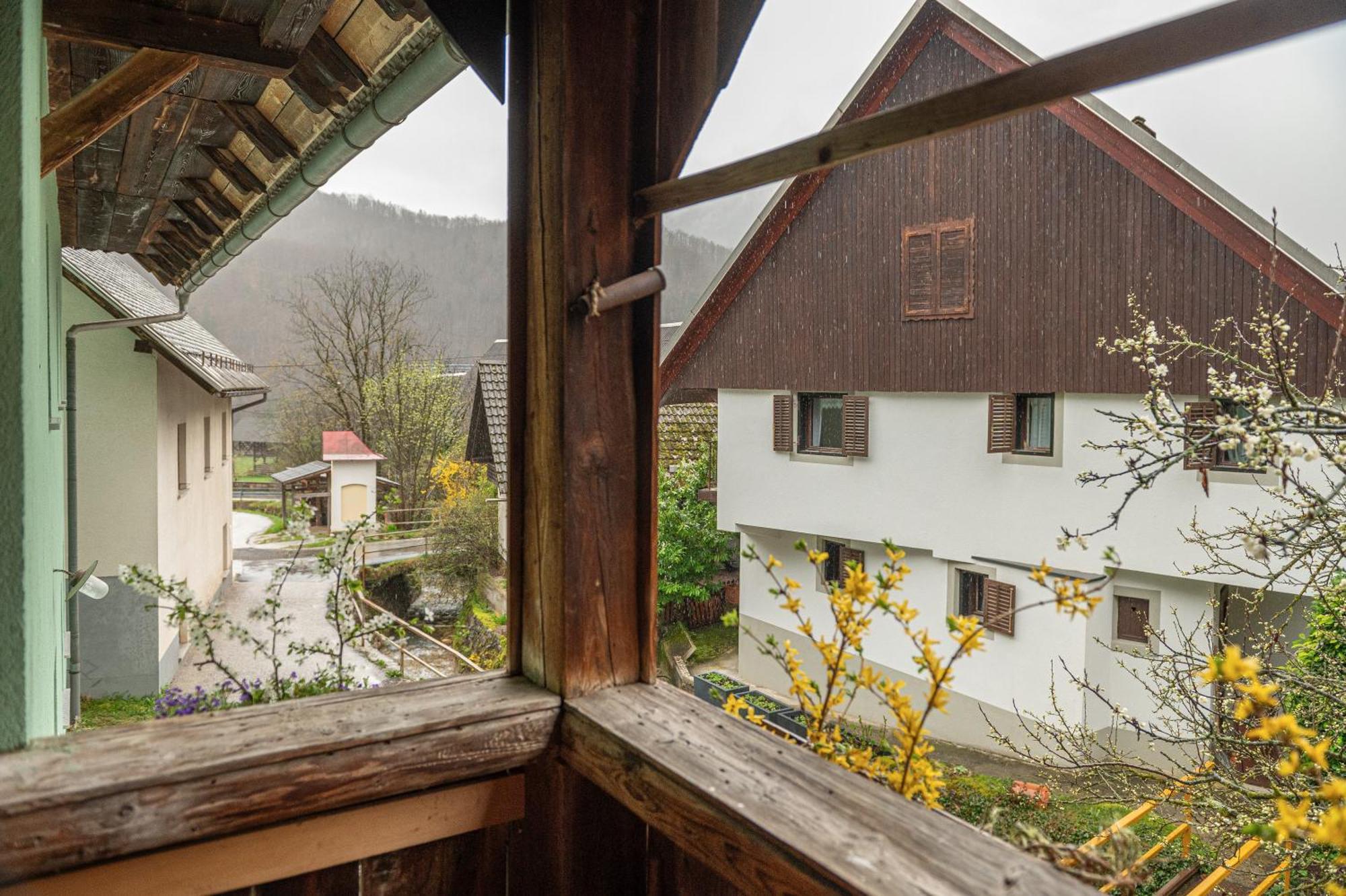 Zelena Hisa Pri Bjov Διαμέρισμα Bohinjska Bela Εξωτερικό φωτογραφία